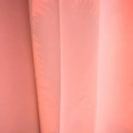 Le Lotus - Tram * Strasburg