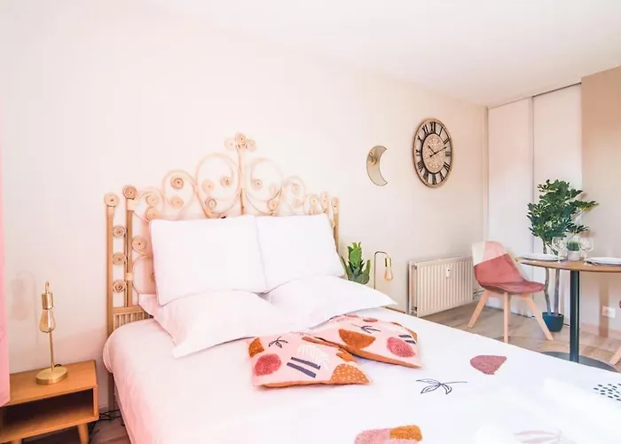 Apartament Le Lotus - Tram Strasburg