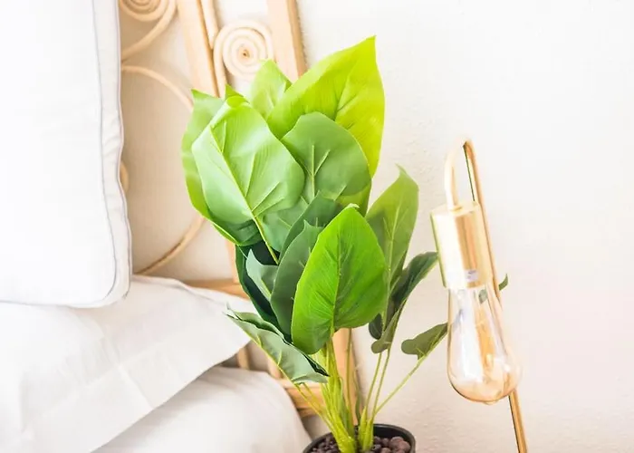 Apartament Le Lotus - Tram Strasburg